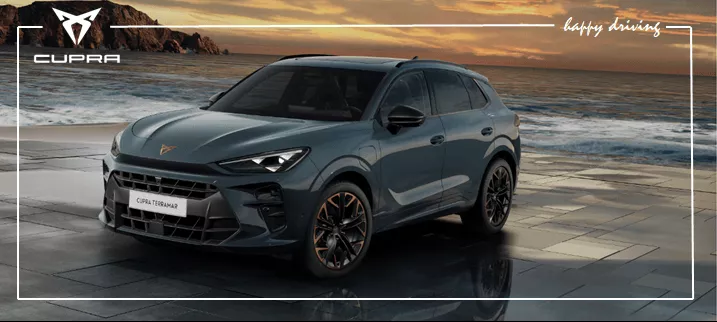 Cupra Terramarr HP Banner