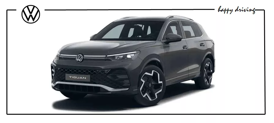 Tiguan Grau